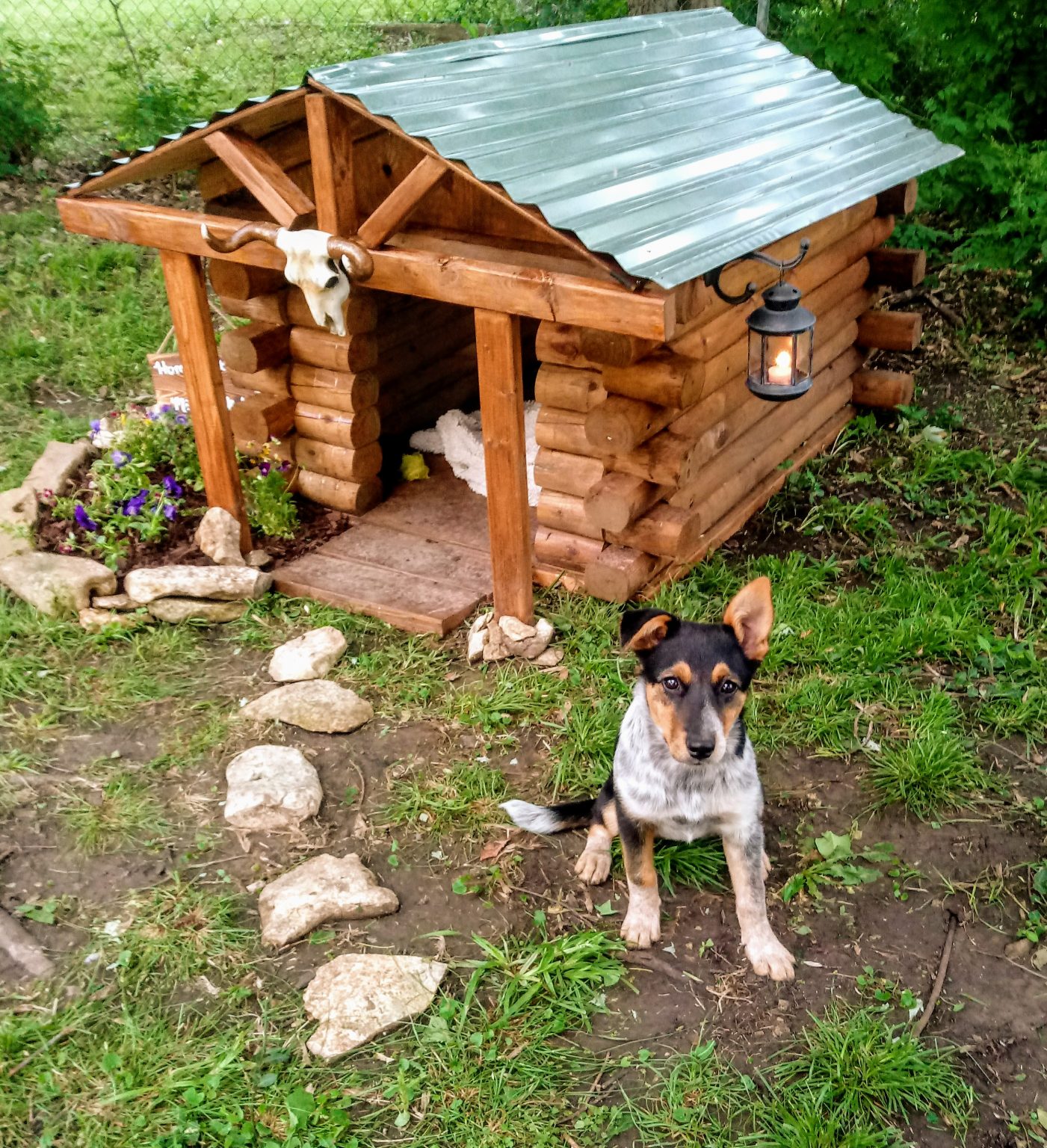 Dog Cabins We build unique log cabins for your dog!